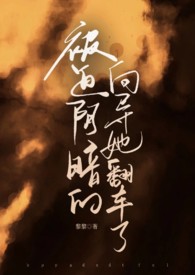 被迫阴暗的向导她翻车了 哨向np